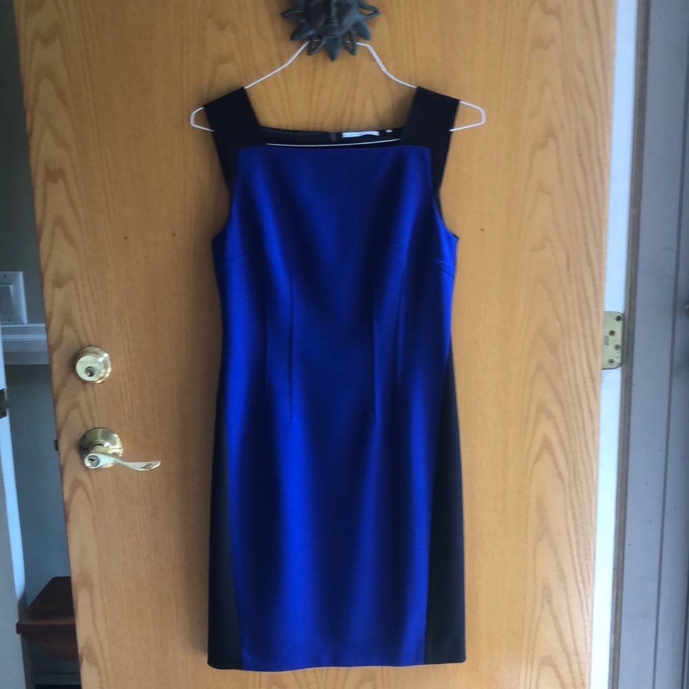 Tahari Sleeveless Dress